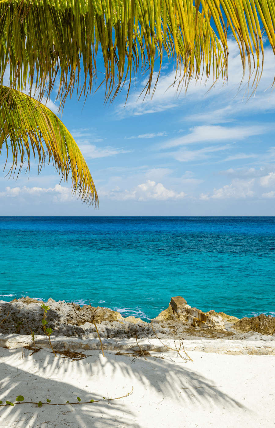 חופשה במקסיקו Holbox