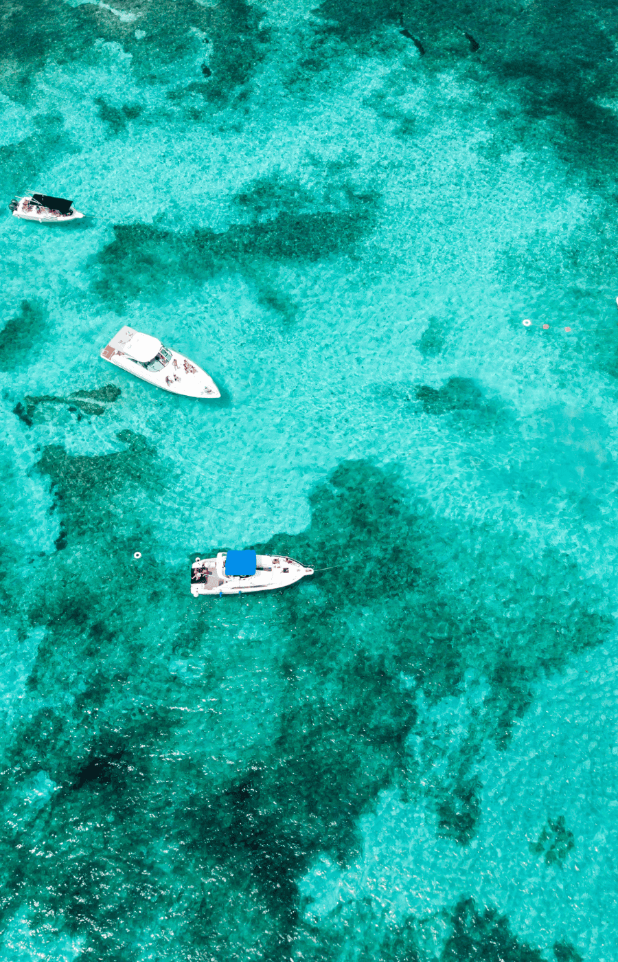 חופשה במקסיקו Isla Mujeres