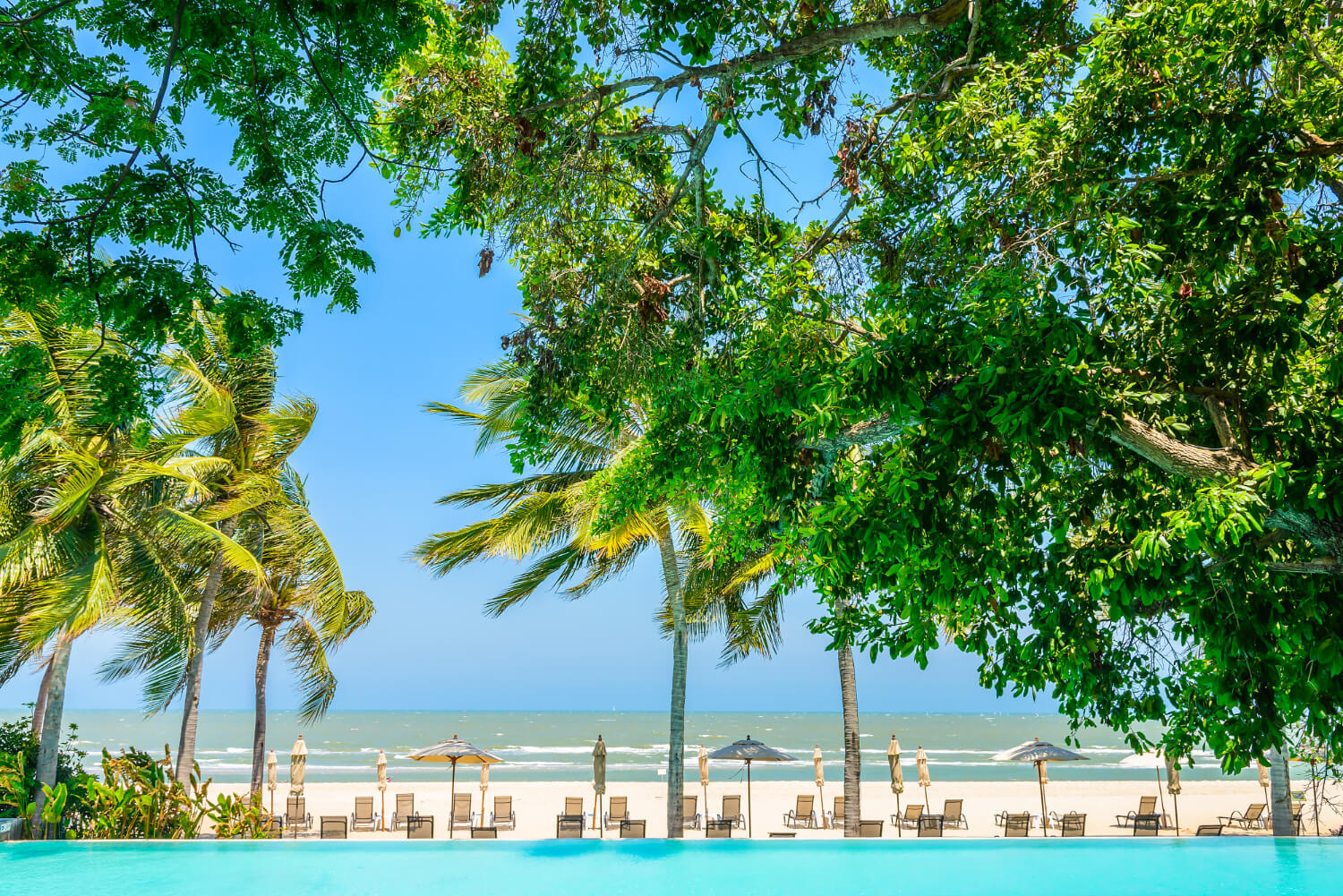 Vacation in Montego Bay Vacation in Montego Bay