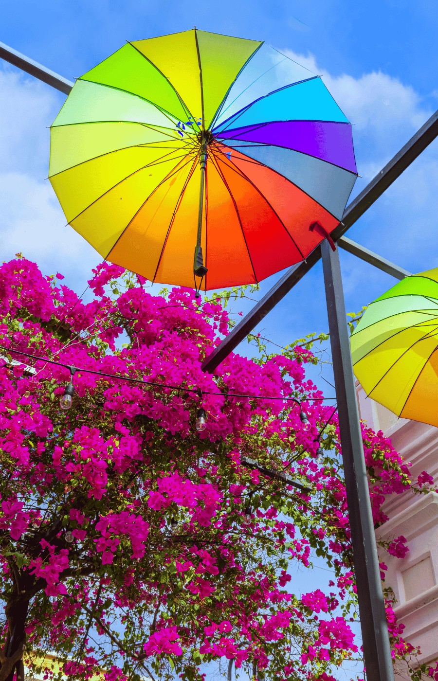 חופשה במקסיקו Puerto Plata, Dominican Republic