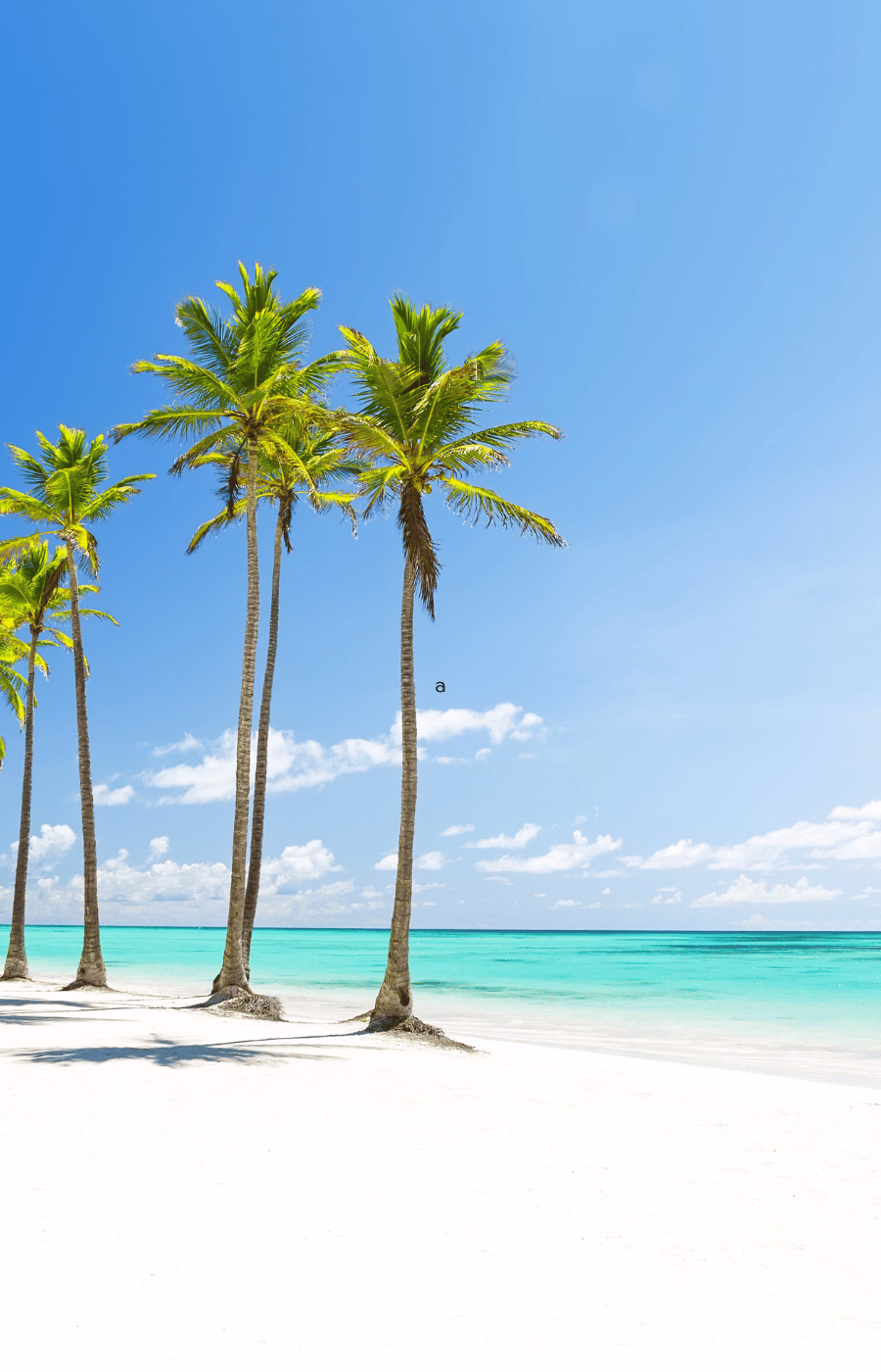 חופשה במקסיקו Punta Cana, Dominican Republic