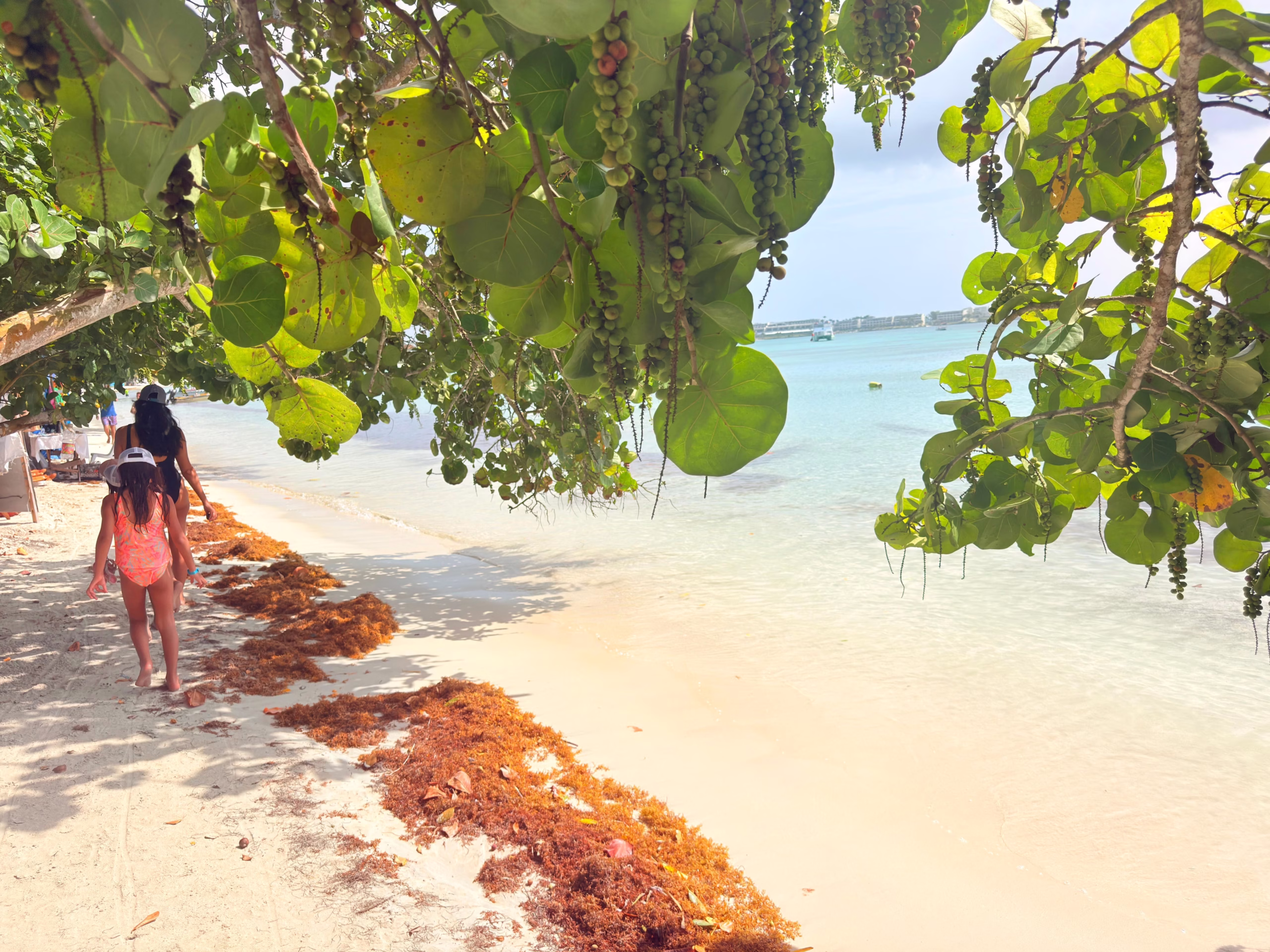 Family walking beside the water on a tropical beach in Negril