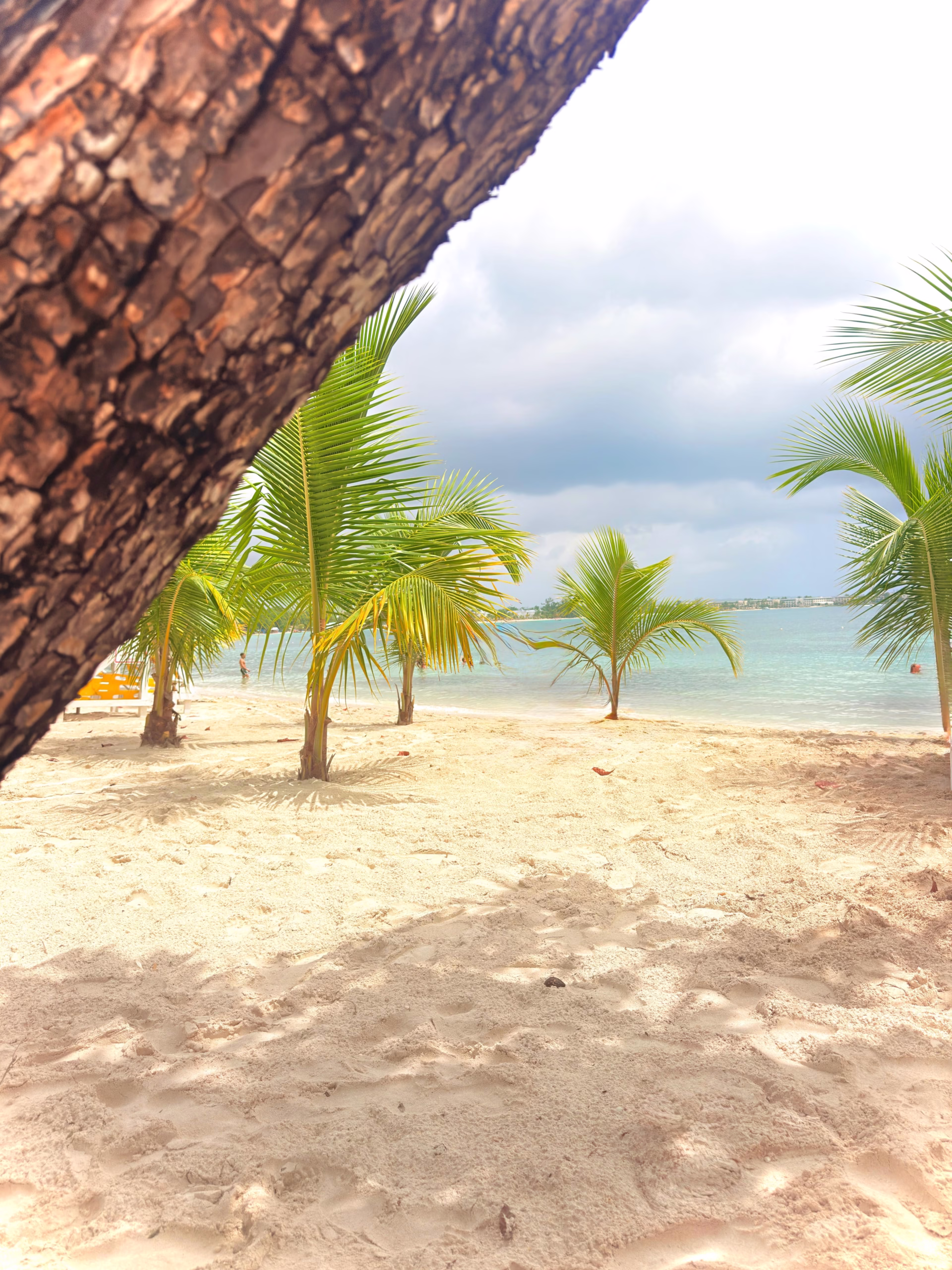 Palm trees and pale sand beside the Caribbean Sea in Negril