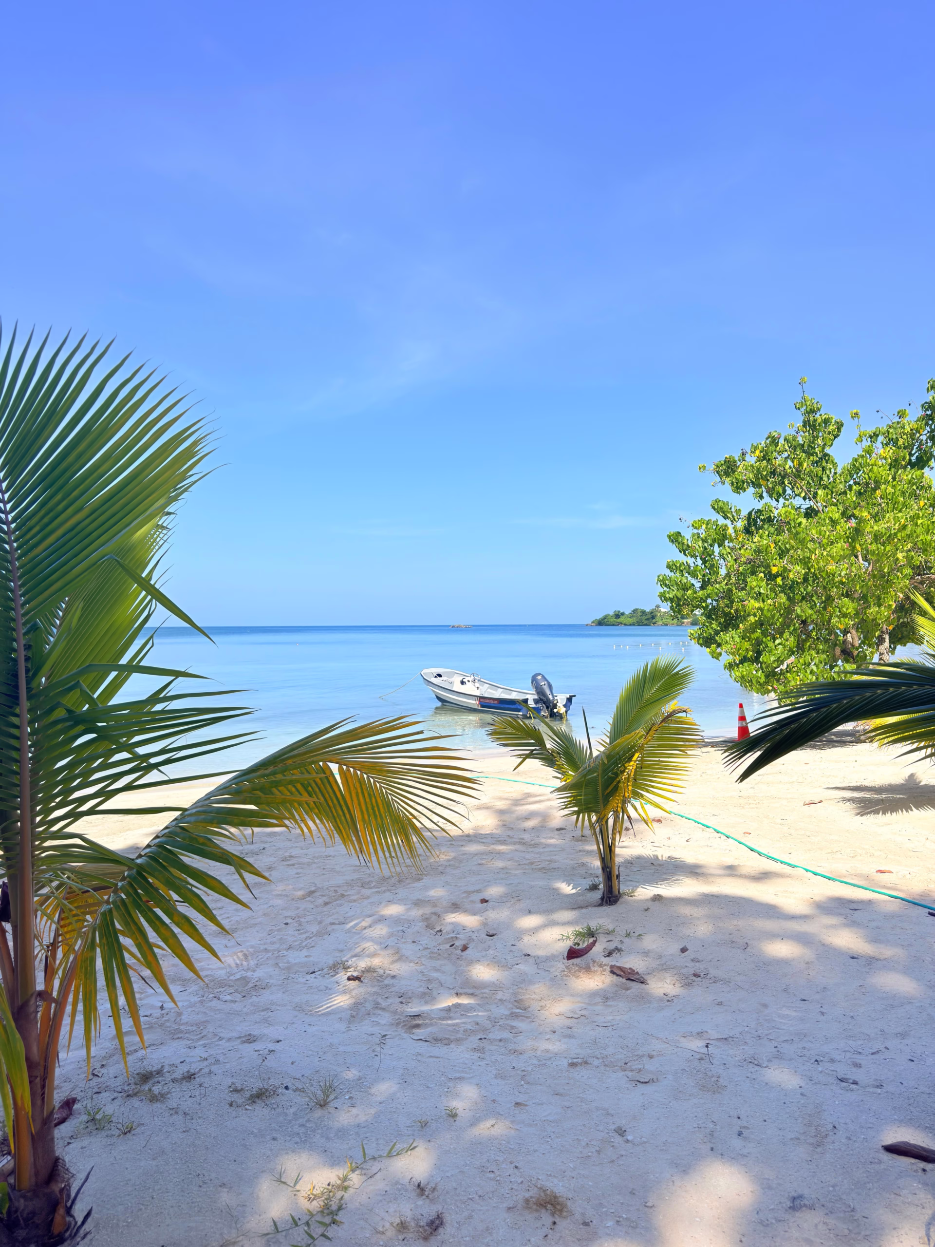 Bright tropical beach and palm trees during a July family trip to Negril