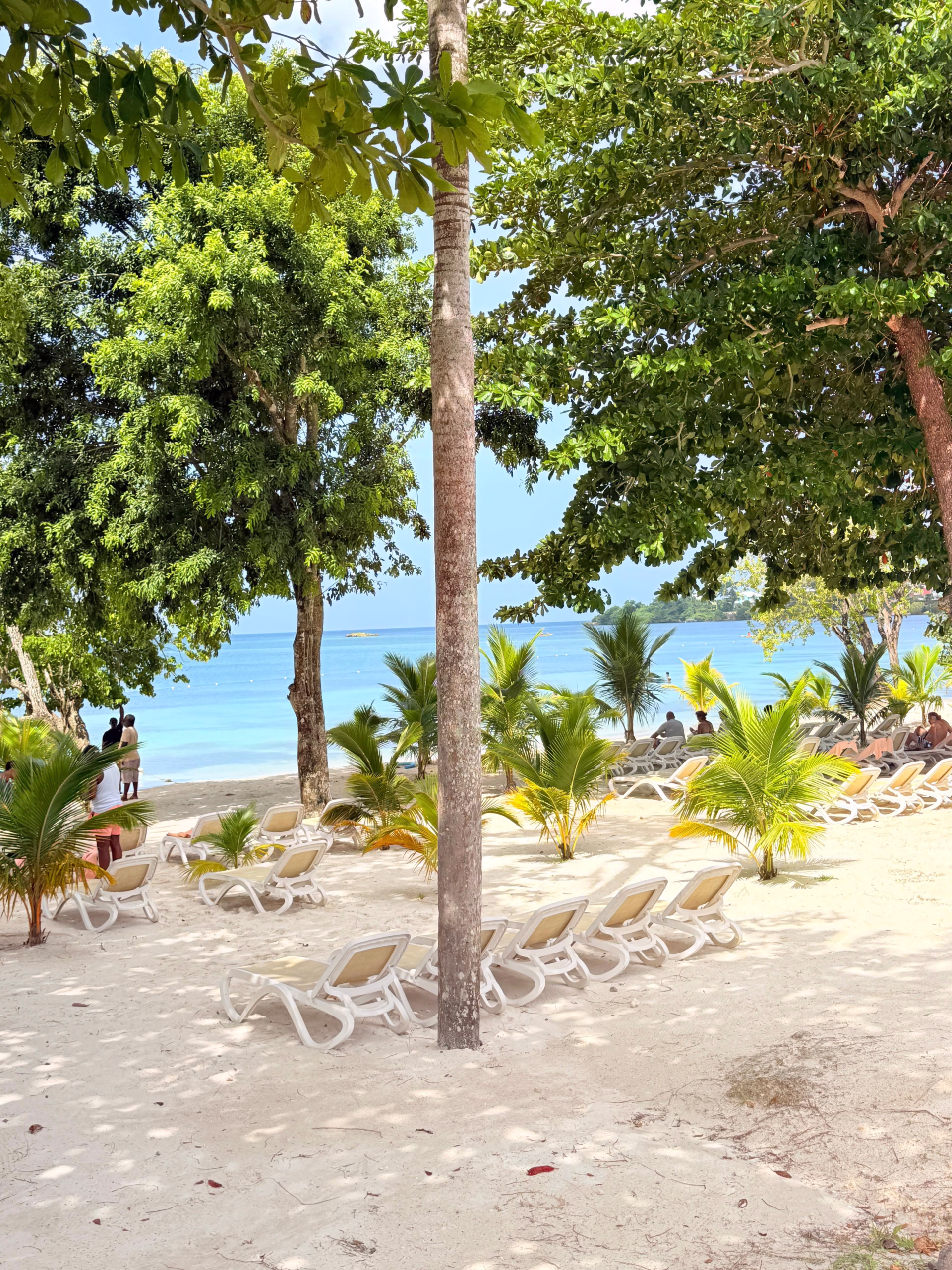 Shaded resort beach with loungers and tropical trees in Negril