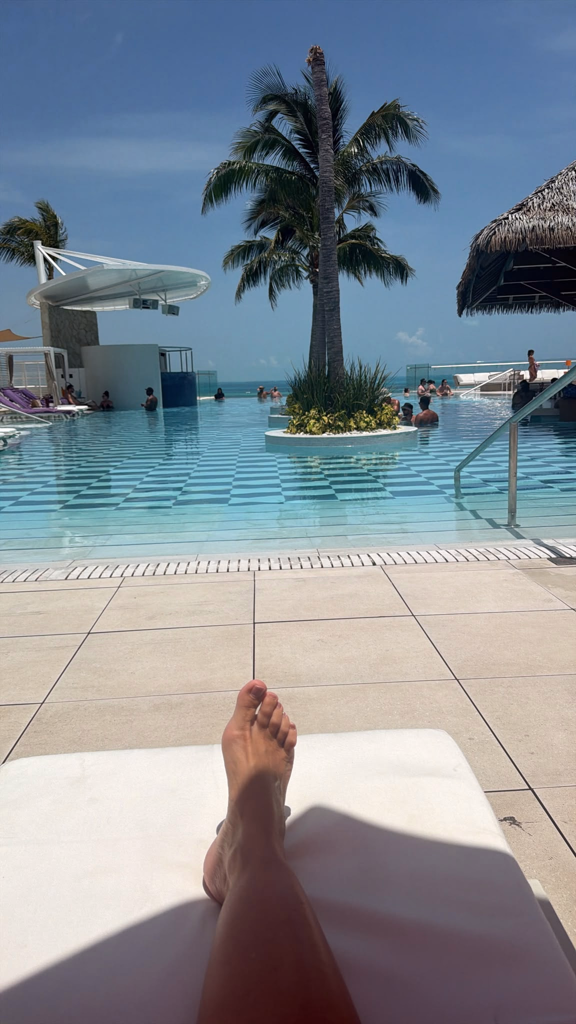 חופשה במקסיקו Infinity pool with a palm tree and sea view during the Cancun portion of the group trip