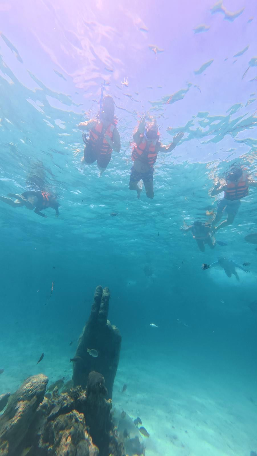 חופשה במקסיקו Snorkelers wearing life jackets above clear Caribbean water during a group boat excursion