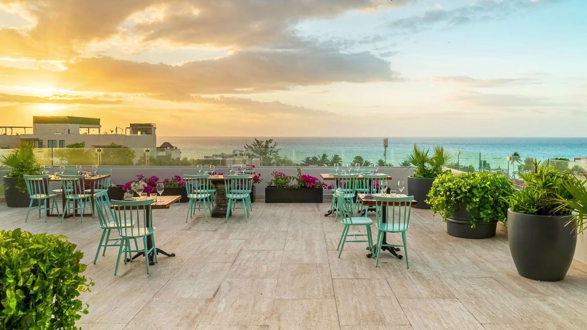 סוויטה זוגית מודרנית ב־Hyatt Centric Playa del Carmen