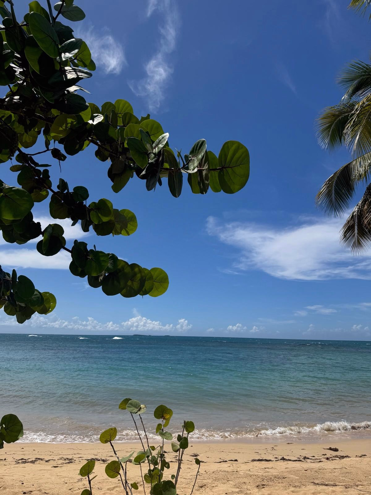 Donoma and Las Terrenas photograph 11 from Assaf B.'s collection
