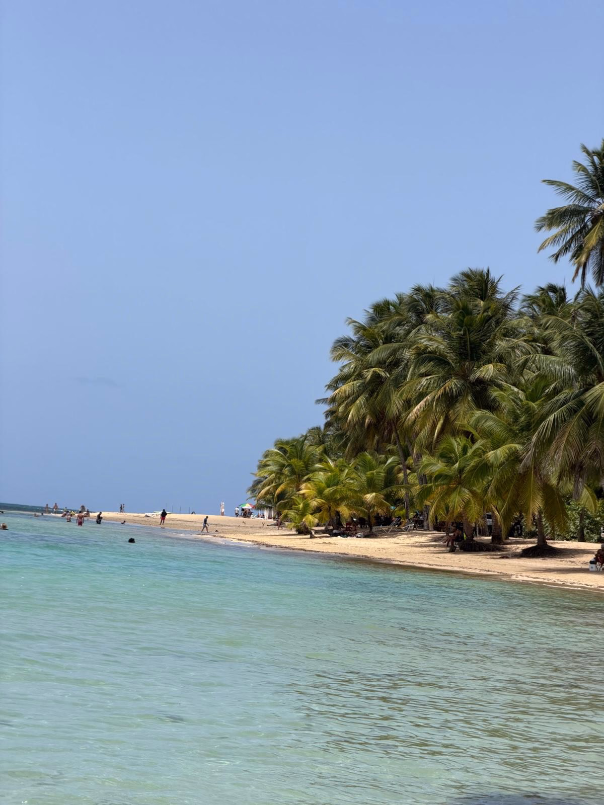 Donoma and Las Terrenas photograph 6 from Assaf B.'s collection