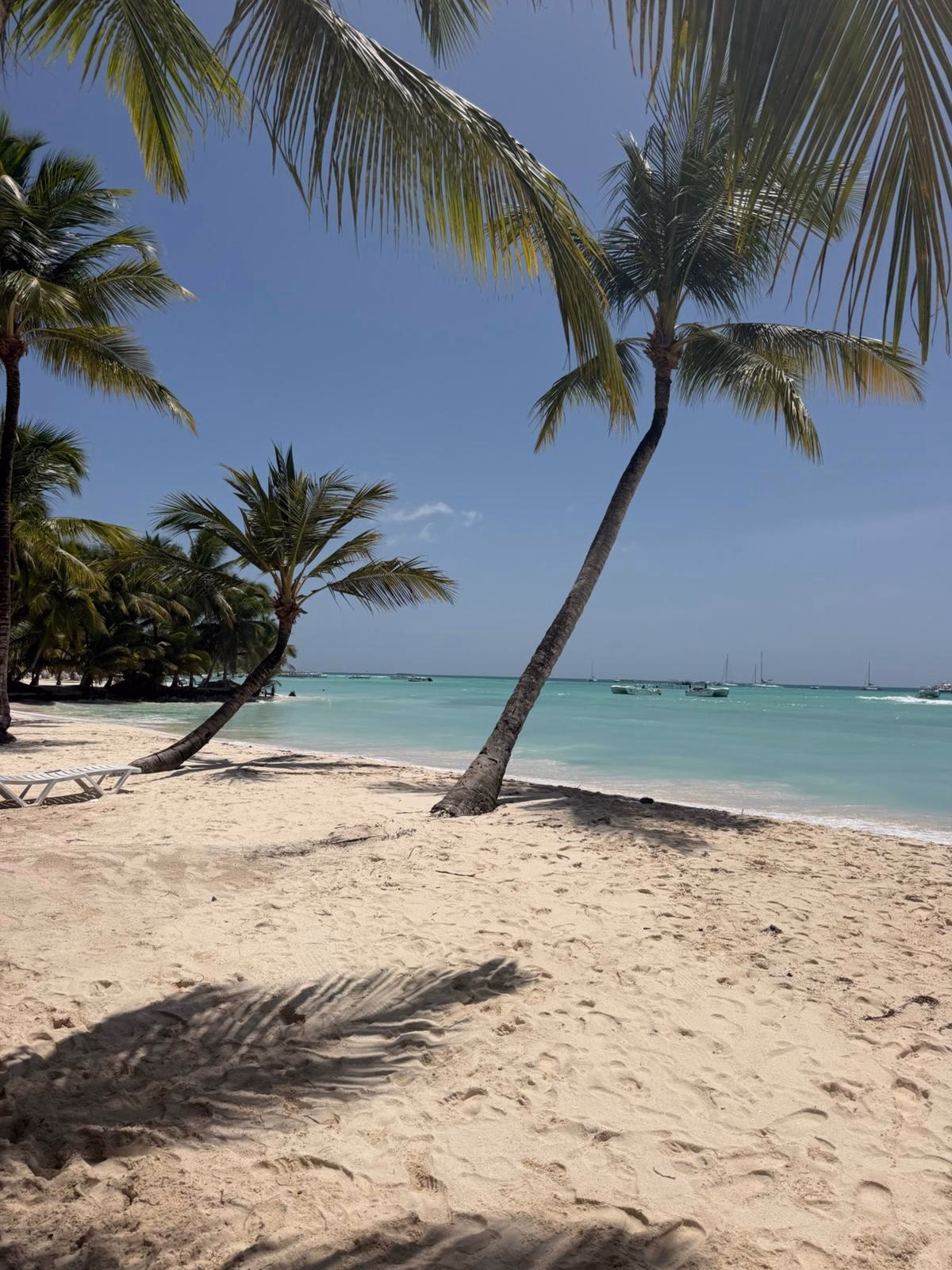 Saona Island and Bayahibe photograph 12 from Assaf B.'s collection