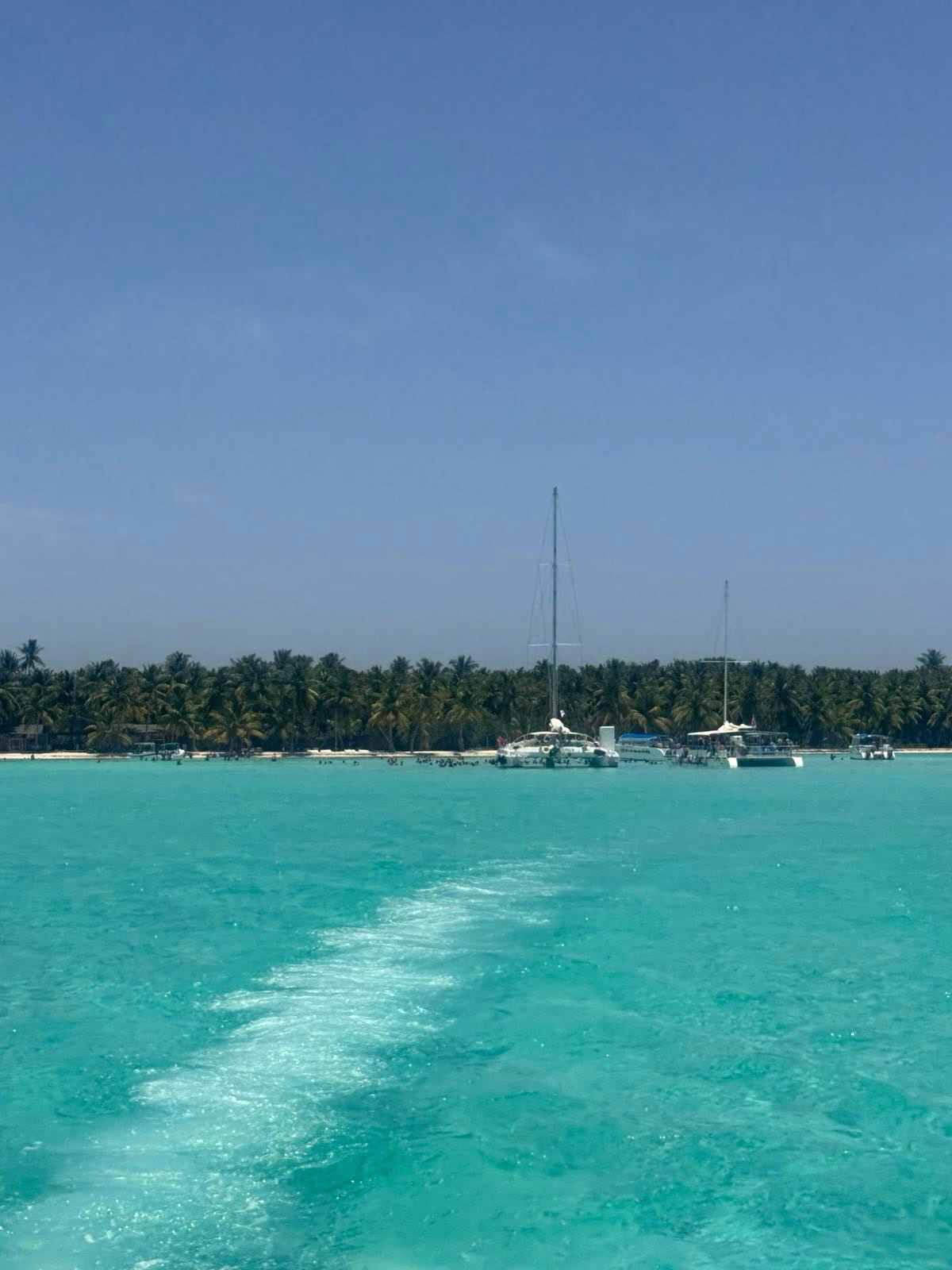 Saona Island and Bayahibe photograph 8 from Assaf B.'s collection