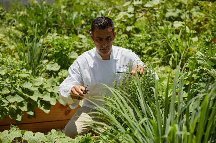 סוויטה עם אזור ישיבה ב־Cayo Levantado Resort Samaná