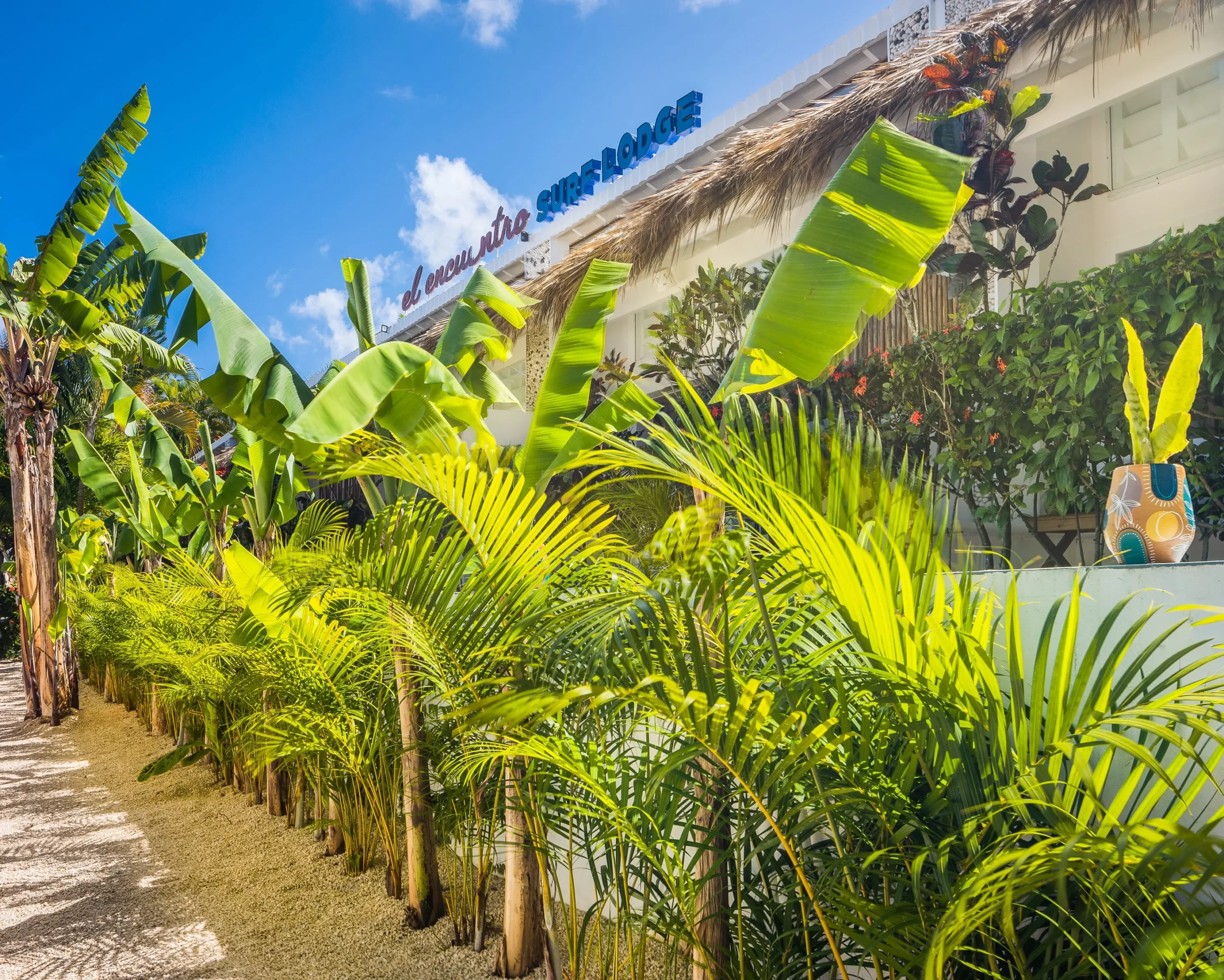 בריכה מול הים ואזור ישיבה ב־El Encuentro Surf Lodge Cabarete