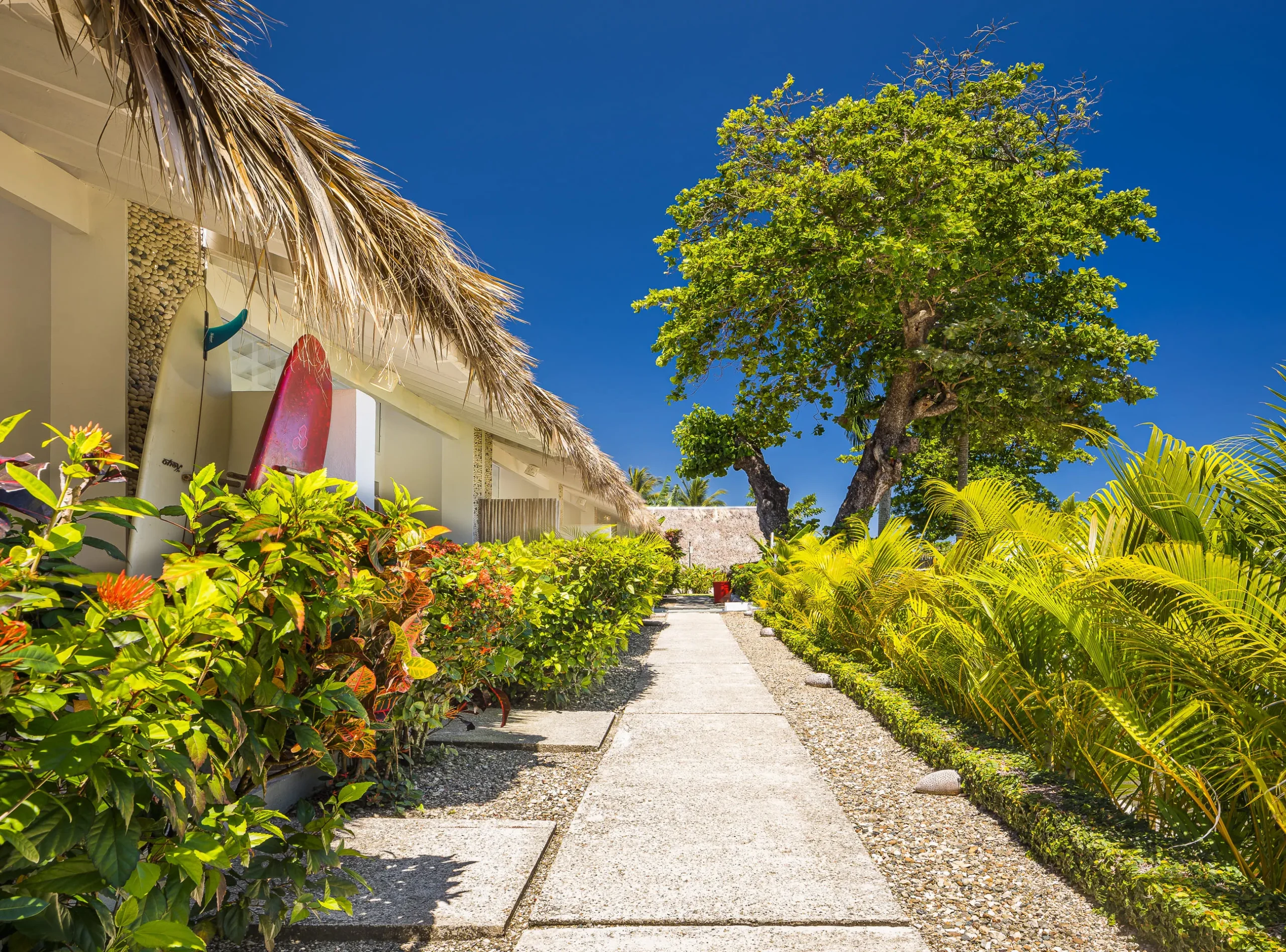 חדר עם נוף לים ב־El Encuentro Surf Lodge Cabarete