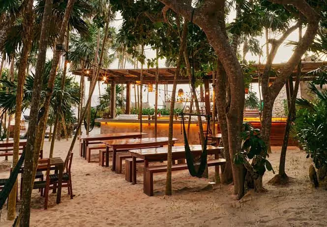 Our Habitas Tulum gallery image 4