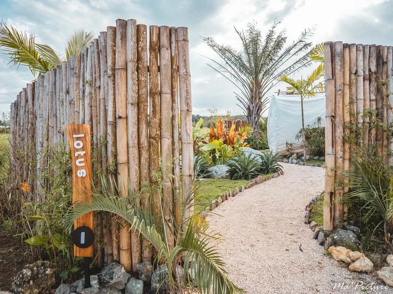 בריכה מול הים ואזור ישיבה ב־Green Land Bubble Glamping Cabarete