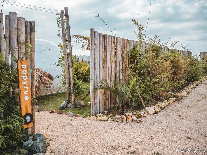 חדר עם נוף לים ב־Green Land Bubble Glamping Cabarete